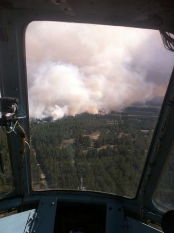 Лесные пожары на Херсонщине: спасатели возобновили использование авиации (ФОТО)