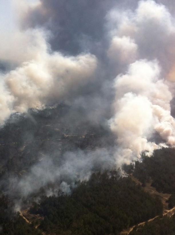 Лесные пожары на Херсонщине: спасатели возобновили использование авиации (ФОТО)