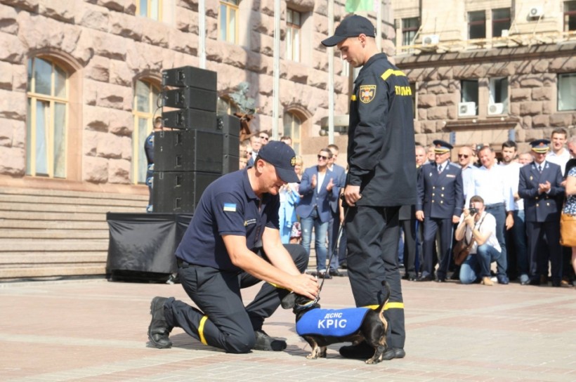 В ГСЧС учредили традицию торжественно отмечать служебных собак за спасение людей