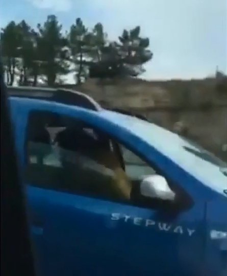 Водитель занялся сексом с пассажиркой за рулем во время езды на трассе (ФОТО)