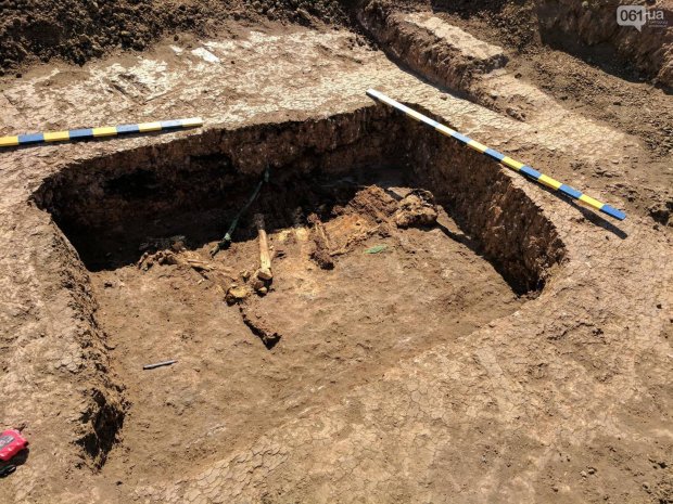 Под Запорожьем археологи обнаружили останки двухметрового вождя (ФОТО)