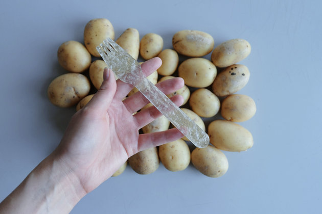 Шведский студент изобрел пластик из картофельного сырья (ФОТО)