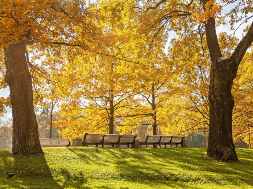 Октябрь в Киеве стал одним из самых теплых за последние 137 лет Октябрь в Киеве стал одним из самых теплых за последние 137 лет