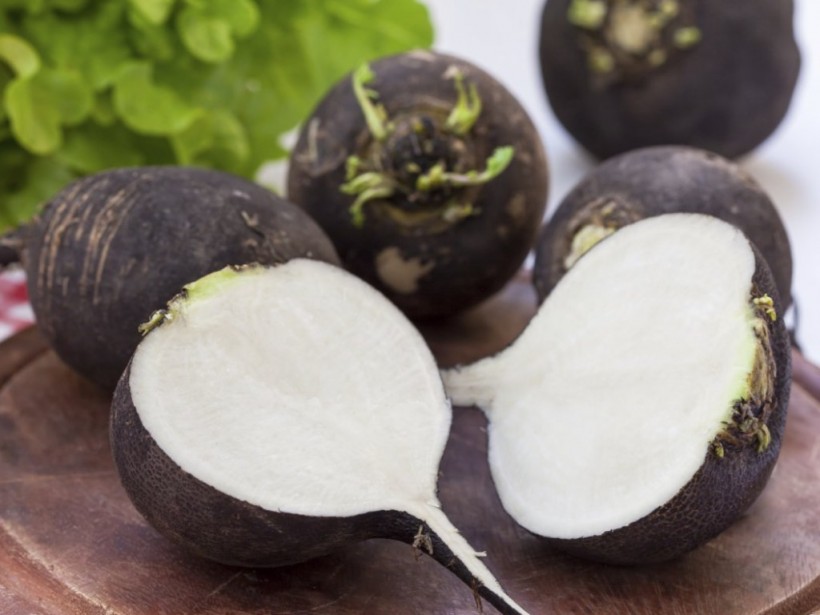 Обычная редька может заменить антибиотики, но не имеет побочных эффектов - врач Обычная редька может заменить антибиотики, но не имеет побочных эффектов - врач