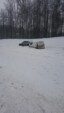 	Под Москвой из-за непогоды столкнулись полсотни авто