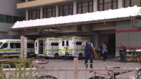 	Стрельба в мечетях Новой Зеландии унесла жизни 49 человек