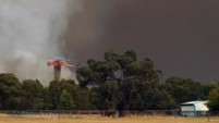 	В Австралии горят 2,5 тысячи гектаров национального парка