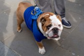 	Британское правительство отказалось отменять Brexit