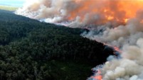 	В Австралии горят 2,5 тысячи гектаров национального парка
