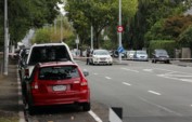 	Стрельба в мечетях Новой Зеландии унесла жизни 49 человек