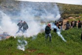 	Новые беспорядки в Израиле: в секторе Газа умер палестинец