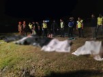 	В Малайзии автобус с иностранцами слетел в кювет: 10 человек погибли