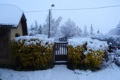 	Апрельский "сюрприз" для Франции: полстраны засыпало снегом