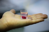 	Ученые впервые создали на 3D-принтере сердце из тканей человека