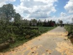 	На Польшу обрушился торнадо: 120 домов повреждены
