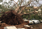	Убийственный циклон в Индии: число погибших выросло до 43