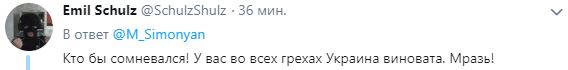 	Кремлевская пропагандистка обвинила Украину в DDoS-атаке и нарвалась на троллинг и сарказм
