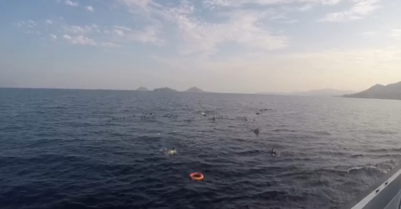 	В Турции затонуло судно с мигрантами, спасатели ищут людей в воде