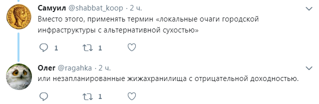 	В России мэр миллионного города рухнула в лужу: реакция соцсетей