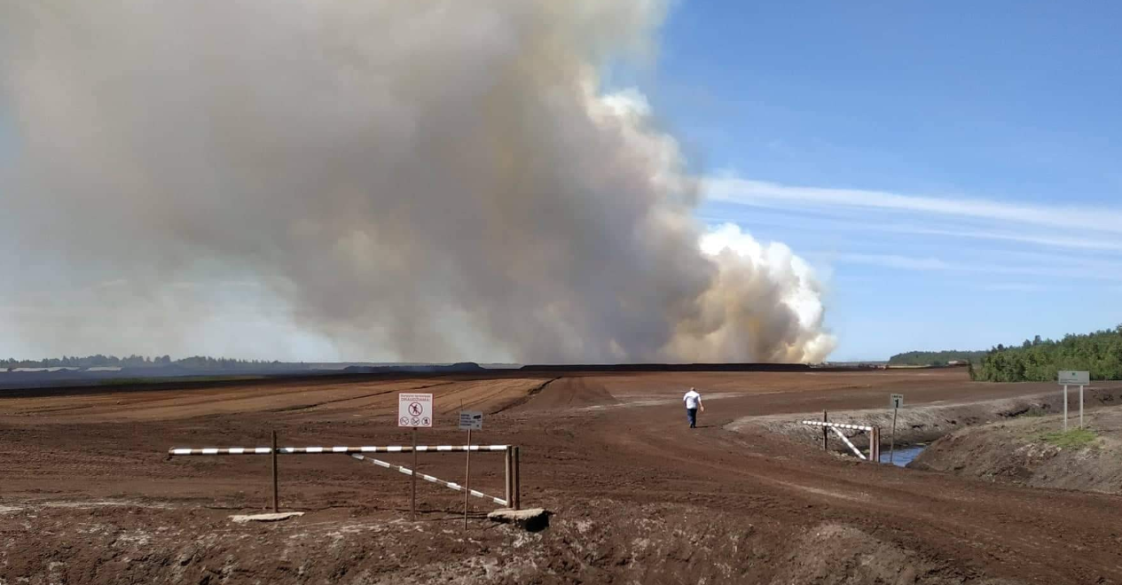	В Литве горят 12 гектаров торфяника: пожарные просят помощи у военных