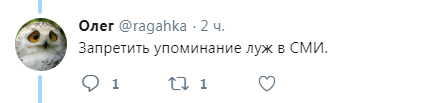 	В России мэр миллионного города рухнула в лужу: реакция соцсетей