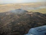	Масштабный лесной пожар в России: огонь охватил десятки тысяч гектар