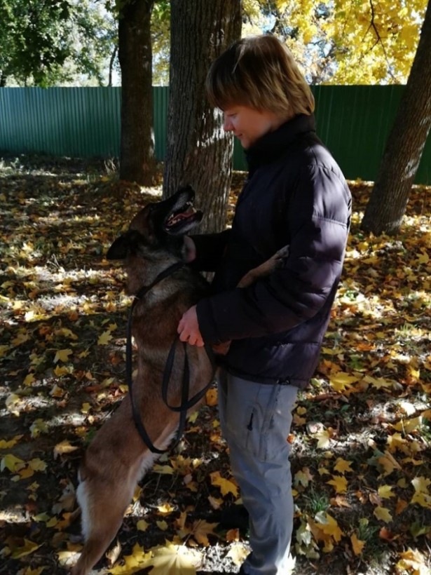 Украинские собаки-спасатели вошли в сотню лучших в мире