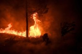 	Португалия охвачена огнем: центр страны пылает (фото, видео)