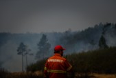 	Португалия охвачена огнем: центр страны пылает (фото, видео)