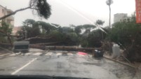 	На север Италии обрушился ураган: фото и видео последствий стихии