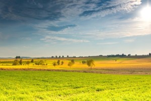 	Лондон должен заплатить отступные даже в случае "жесткого" Brexit – Еврокомиссия
