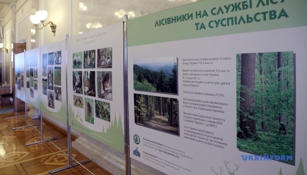 В Раде открылась фотовыставка ко Дню работника леса