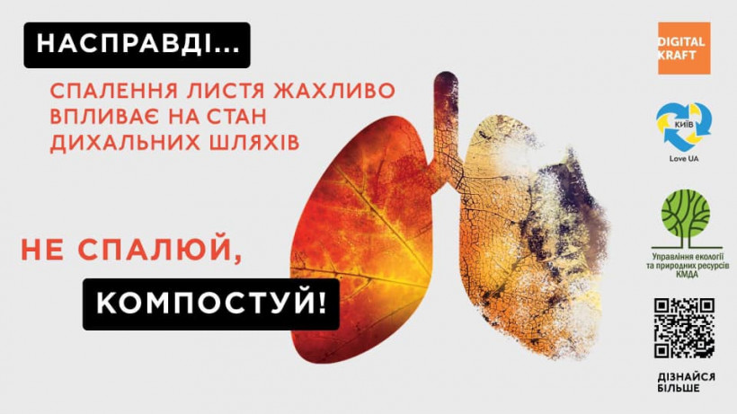 Загрязнение воздуха: еще СО в норме, но торфяники уже горят. А мы еще и листья жжем!