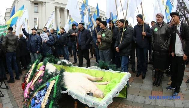 Протестующие под Радой "похоронили" свинью