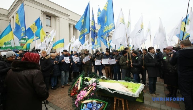 Протестующие под Радой "похоронили" свинью