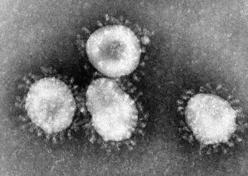 Новый коронавирус: SARS, его «предшественник», был опаснее