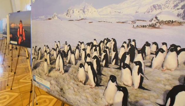 В Раде открылась выставка к 200-летию открытия Антарктиды