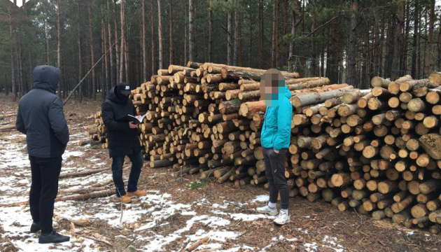 ГБР проводит обыски в Гослесагентстве и лесхозах Житомирской области