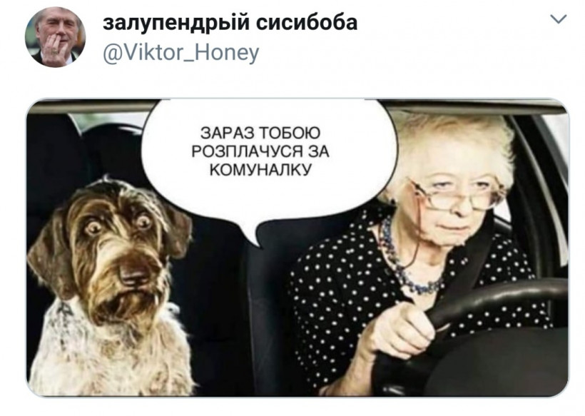 Собирайся, Сирко, из облгаза пришли: в соцсетях смеются с заявления депутата