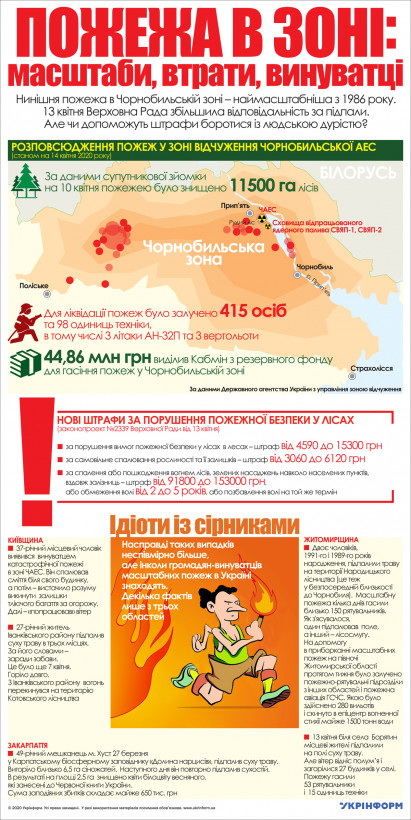 Пожар в Чернобыльской зоне: масштабы, потери