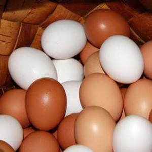 Куриные яйца: польза и вред.