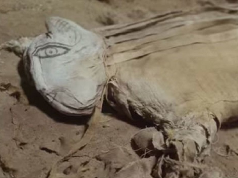 Египетская мумия неизвестного существа.