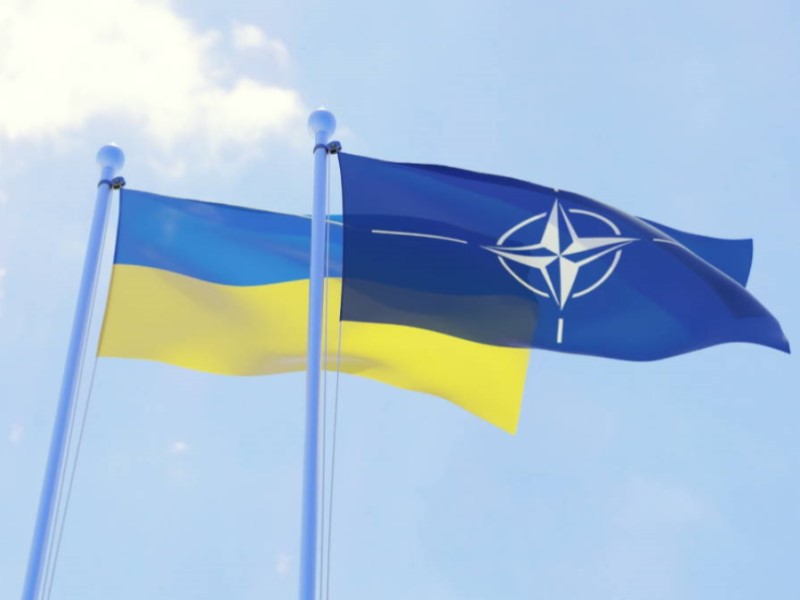 Флаг Украины и НАТО
