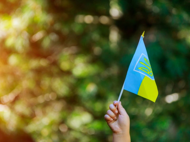 украинский флаг