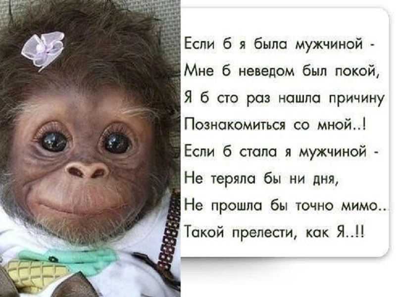 Смешные анекдоты, забавные истории и веселые приколы.