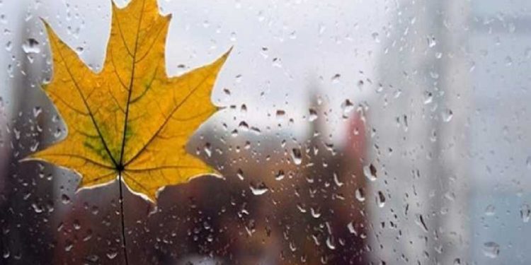 Погода 28 ноября 2021.