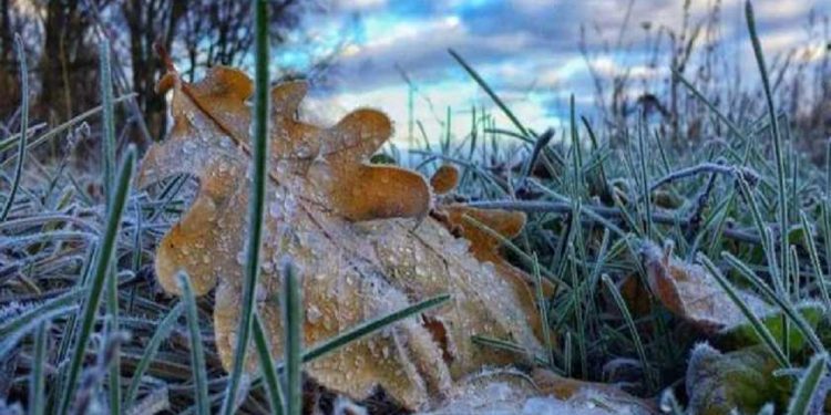 Погода в Украине 29 ноября.