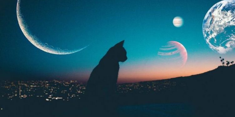 Дни силы в декабре, и как они повлияют на людей.