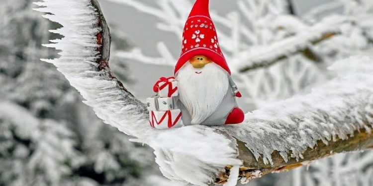 В декабре им светит удача в деньгах и неожиданная прибыль.