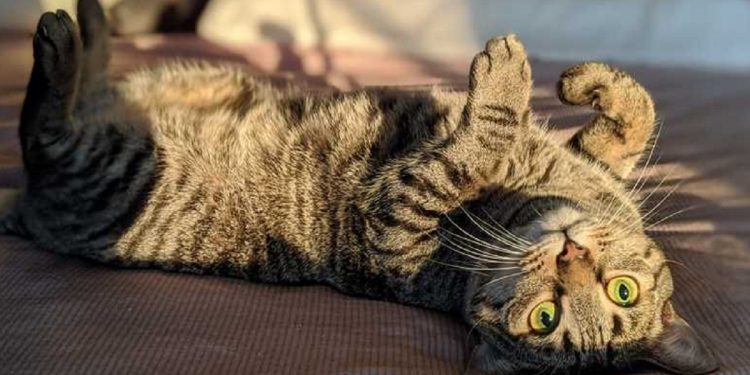 Погода в Украине 2 декабря.